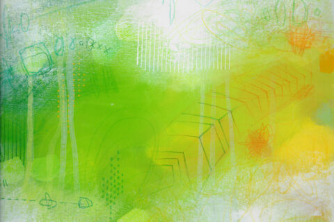 Rainbow Trail